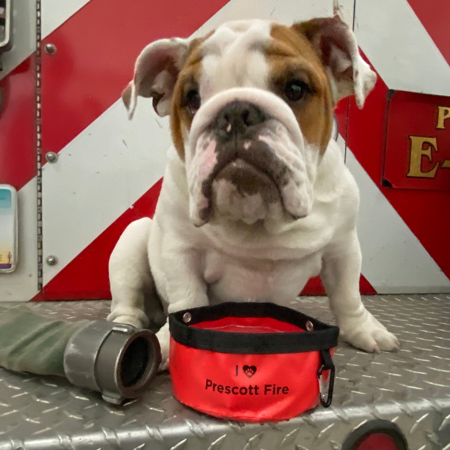 Prescott Fire Department Collapsible Pet Bowls